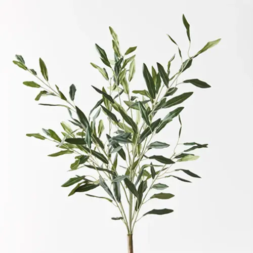 olive leaf bush 58cm - green