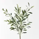 olive leaf bush 58cm - green