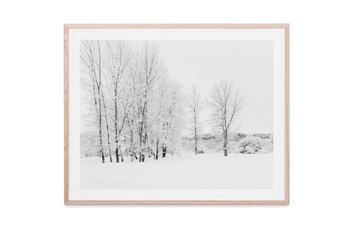 [EPXSNOTR1] snowy trees 1 framed print